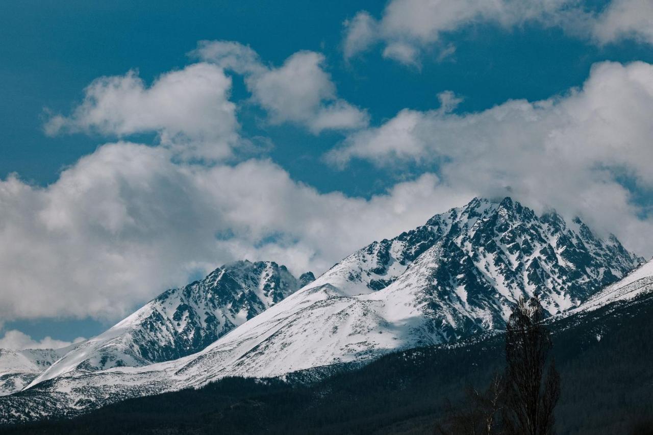 Villa Greystone Vysoké Tatry エクステリア 写真